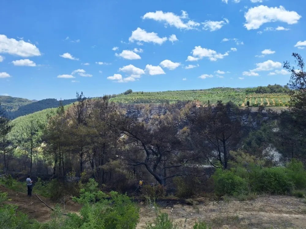 السيطرة على حريق ضخم في أحراج اللاذقية بعد 24 ساعة من الجهود المتواصلة