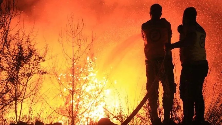 اللاذقية تحترق: جهود مضنية لإخماد حريق غابات السفكون وسط صعوبات جمة