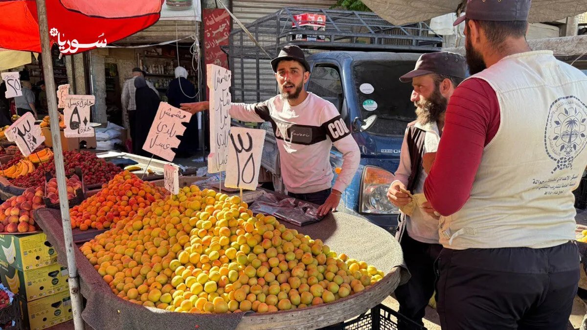 إدلب تستقبل عيد الأضحى بأسعار ملتهبة وحركة شراء متواضعة: هل يفقد العيد بهجته؟