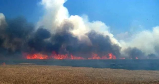 الدفاع المدني يسيطر على حريق هائل في حقول القمح بسهل الغاب ويحمي الأمن الغذائي