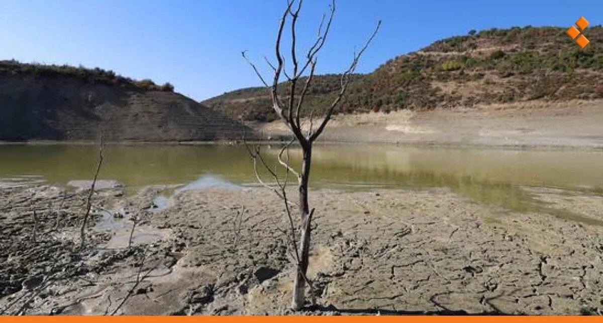 سوريا تواجه الجفاف: إجراءات عاجلة لوزارة الزراعة لمكافحة نقص المياه