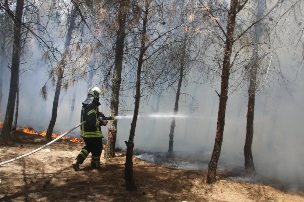 الدفاع المدني السوري يسيطر على أربعة حرائق في الشمال: قمح وأحراج ومنازل