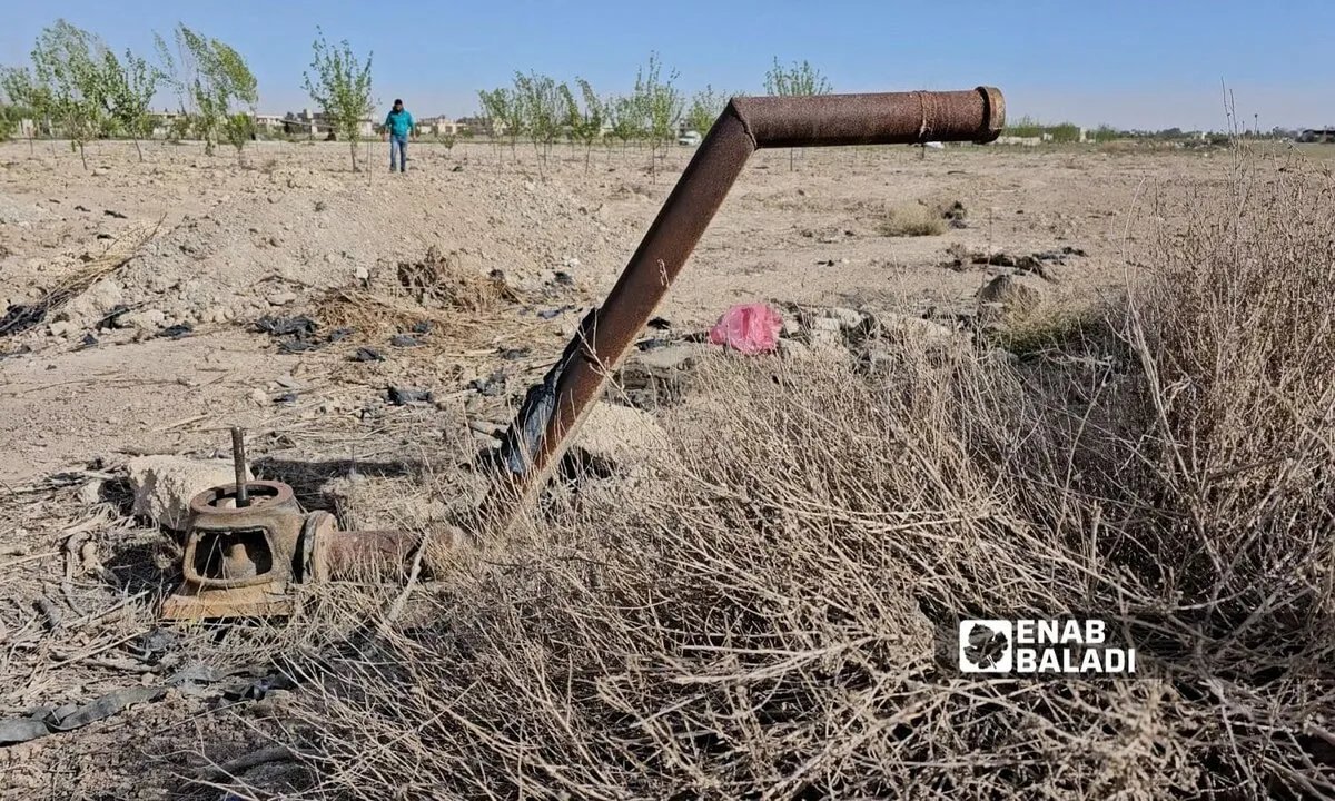 سوريا: العدل تتخذ إجراءات صارمة لحماية الغابات من القطع الجائر والحرائق