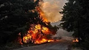 حريق هائل يلتهم مساحات شاسعة في وادي النضارة بريف حمص