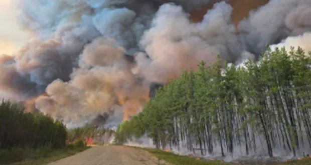 حرائق الغابات تشتعل في كندا وتجبر الآلاف على النزوح وتصل آثارها إلى أوروبا