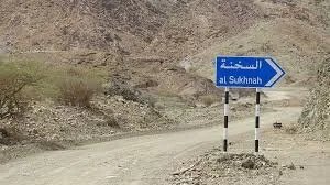 كمين لتنظيم الدولة في السخنة يوقع قتلى وجرحى بصفوف قوات النظام