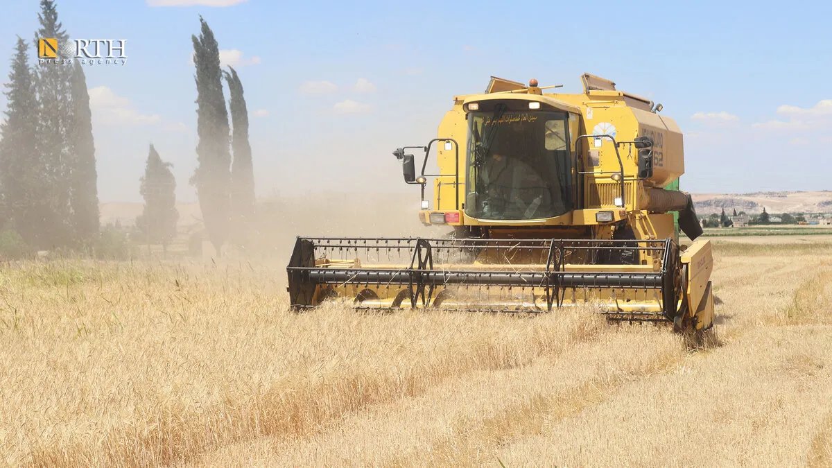 مزارعو كوباني يحتفلون ببدء موسم حصاد الشعير وسط آمال بتحقيق إنتاج وفير