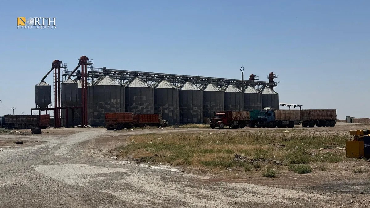 الحسكة: بدء موسم استلام القمح في صوامع حطين وسط توقعات بمحصول وفير