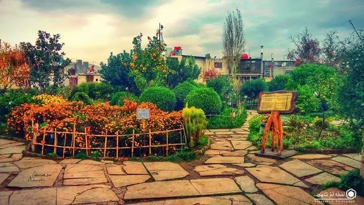 دمشق تحتفل باليوم العالمي للبيئة بفعاليات متنوعة تركز على الأطفال والتوعية