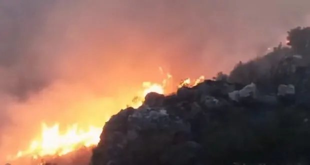 السيطرة على حريق العصيبة في ريف بانياس: خسائر كبيرة تطال المساحات الحراجية والزراعية