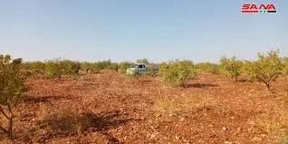 ارتفاع كبير في أسعار اللوز في أسواق ريف دمشق يدفع السكان لاستخدام قشوره كبديل للتدفئة