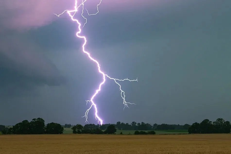 ألمانيا: مأساة صاعقة تودي بحياة امرأة أثناء نزهة مع حصانها وكلبها