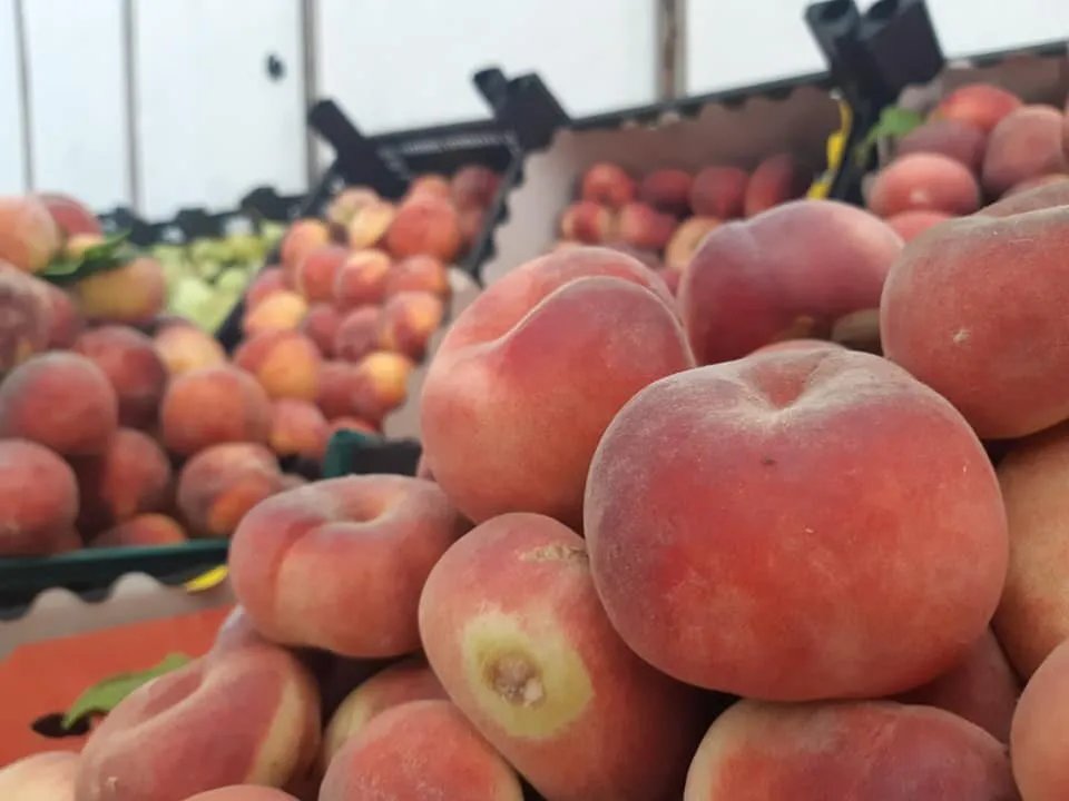 أسعار الخضار والفواكه في دمشق وريفها: نظرة على تأثير التصدير وتقلبات الأسعار