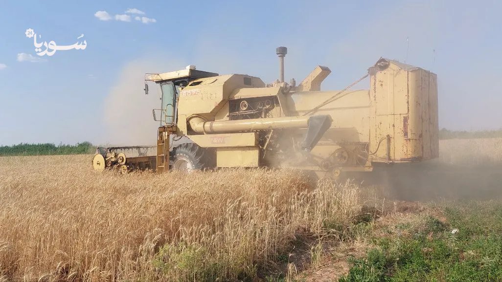 مرسوم رئاسي يمنح الفلاحين 130 دولارًا للطن الواحد من القمح لتشجيع الإنتاج