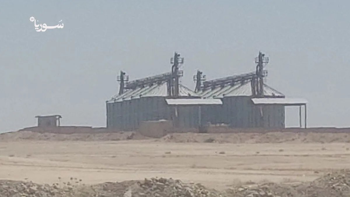 غضب في الرقة: مزارعون ينتقدون تسعيرة القمح الجديدة ويطالبون بدعم أكبر في ظل الجفاف