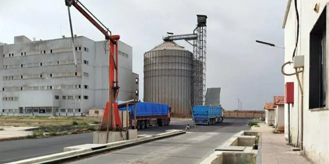 السويداء: بدء استلام القمح من المزارعين في مركز المؤسسة السورية للحبوب