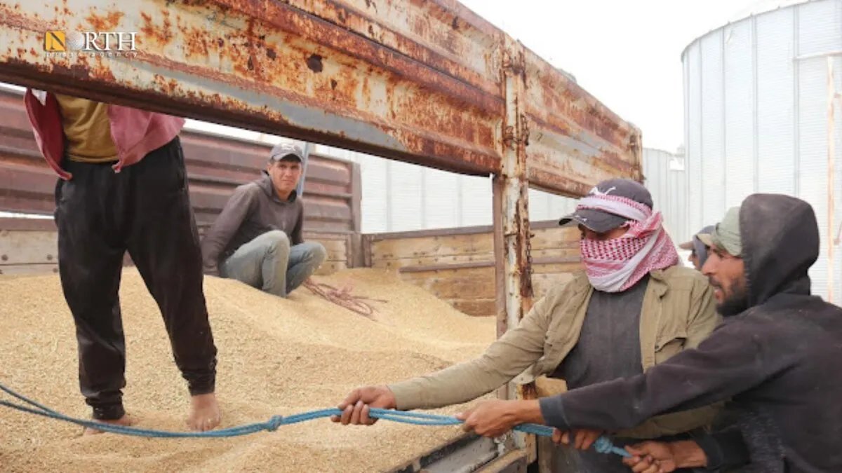 بدء استلام محصول القمح من مزارعي كوباني في صوامع روفي: تفاصيل الموسم الزراعي