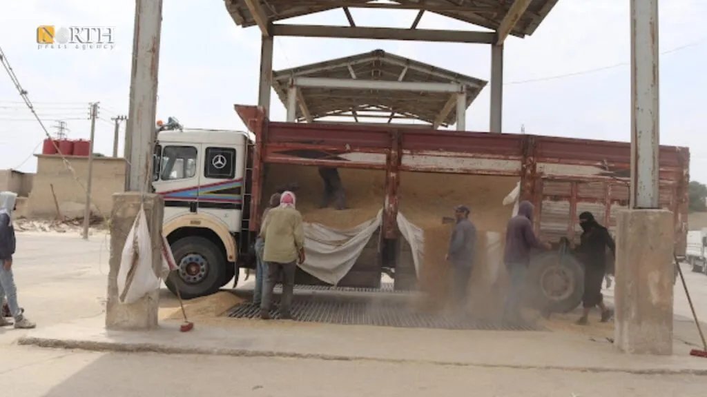 الإدارة الذاتية في شمال شرق سوريا تعلن عن حجم محصول القمح المستلم وتكشف خطط دعم المزارعين