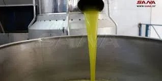 وزارة التجارة الداخلية تنفي إصدارها تسعيرة لأجور عصر الزيتون وتؤكد أن الأمر بيد المحافظات