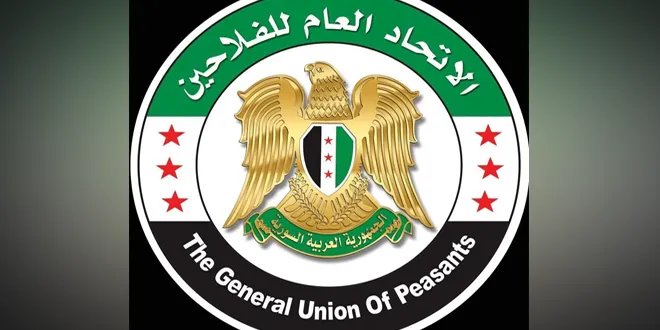 الفلاحون السوريون يتحملون المسؤولية الوطنية: دعم حكومي للقمح رغم التحديات الاقتصادية