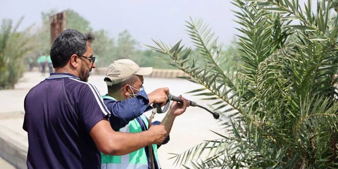 دير الزور تتنفس: حملة مكثفة لإزالة الأنقاض وتأهيل الكورنيش تعيد الحياة للمدينة