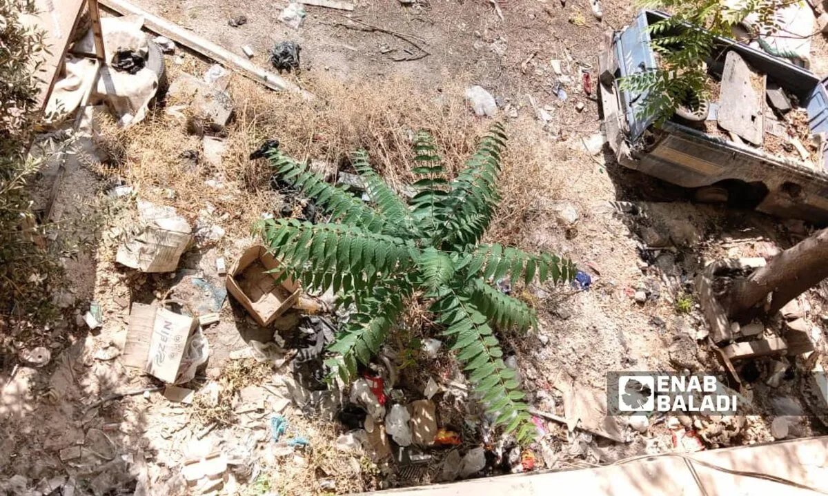 تلوث وإهمال: نفايات فرن "الذرة" بحلب تهدد صحة سكان الميدان وتثير استياءهم