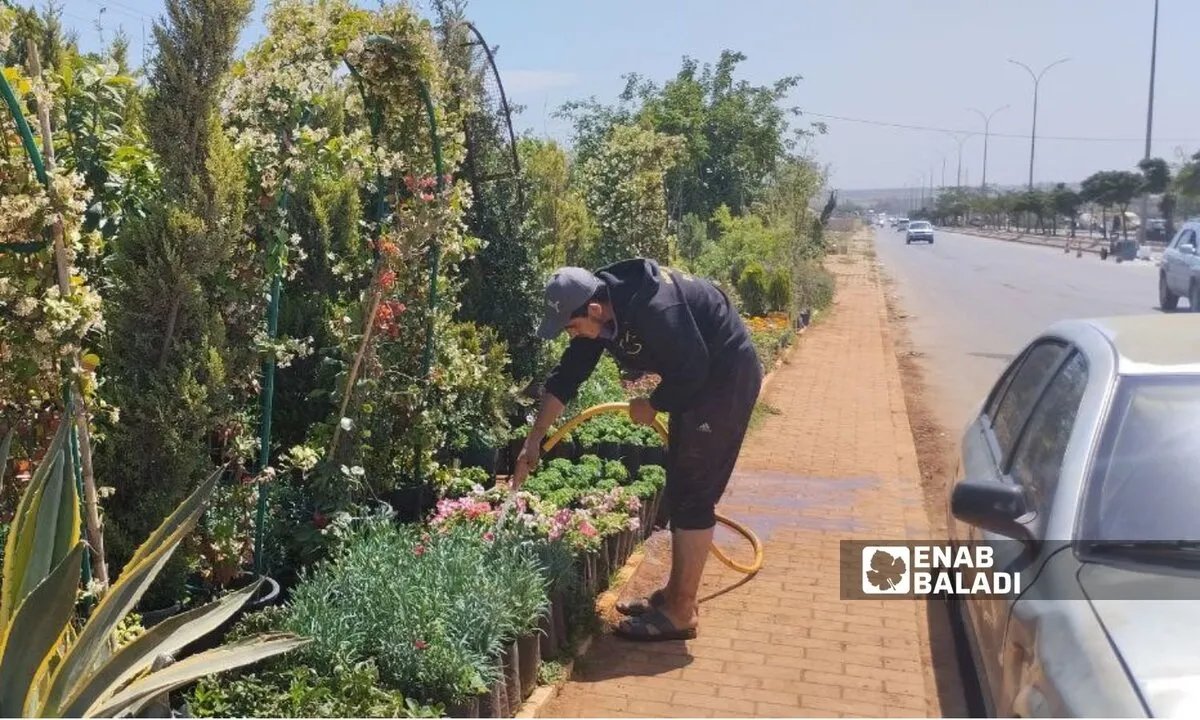 ازدهار تجارة نباتات الزينة في إدلب: إرشادات للعناية بها ونصائح للمشترين والباعة