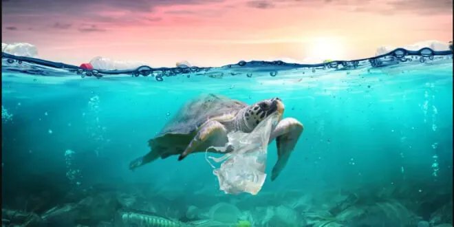 إنجاز ياباني ثوري: بلاستيك صديق للبيئة يتحلل في مياه البحر خلال ساعتين!