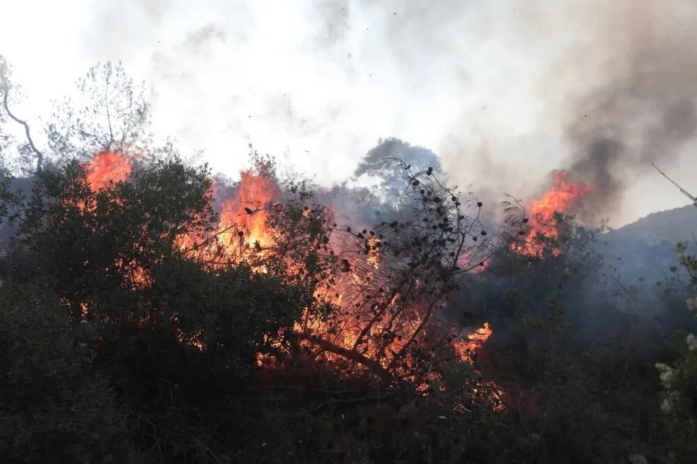 سوريا تحترق: 47 حريقًا في يوم واحد والدفاع المدني يكافح للسيطرة