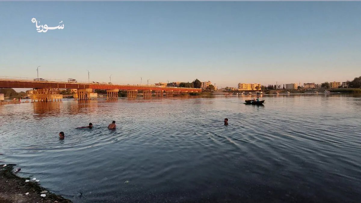 الرقة تحت وطأة الحشرات: غياب الرش والقمامة يفاقمان معاناة السكان