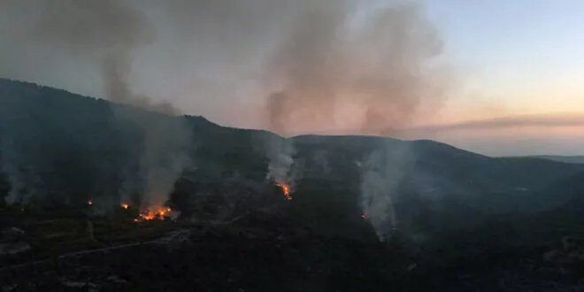 أكثر من 24 ساعة من الجهود لإخماد حريق غابات القرداحة في اللاذقية