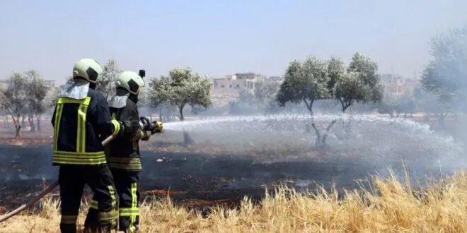 ارتفاع الحرارة يُشعل الغابات: وزارة الطوارئ تستجيب لأكثر من 60 حريقًا في 48 ساعة