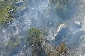 “فِرَق الإطفاء تُسيطر على حريق واسع في متن الساحل بطرطوس ومباشرة عمليات التبريد”