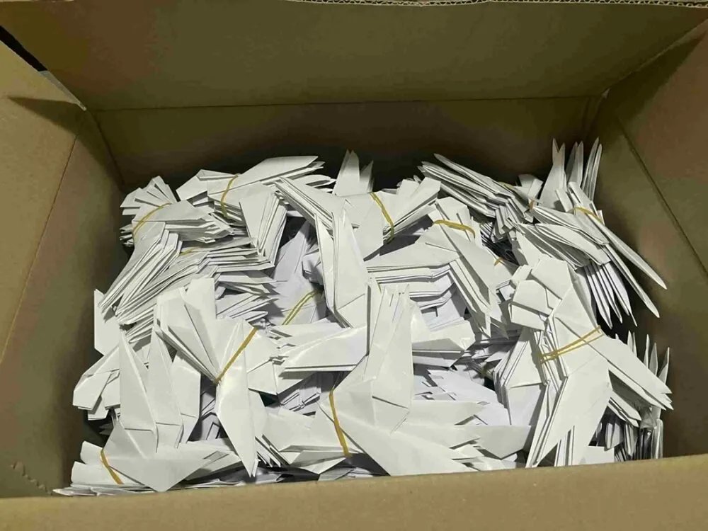 معرض "لمن لم يُذكر… ولن يُنسى": مجسمات ورقية تحيي ذكرى شهداء سوريا ومفقوديها