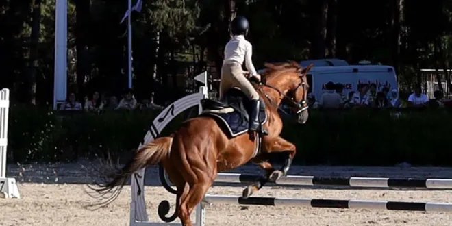 بطولة النصر السادسة للفروسية: منافسات حماسية واختتام ناجح في ريف دمشق