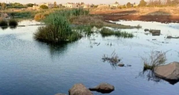 كارثة بيئية وصحية في العجمي: ري المحاصيل بمياه الصرف الصحي يهدد السكان