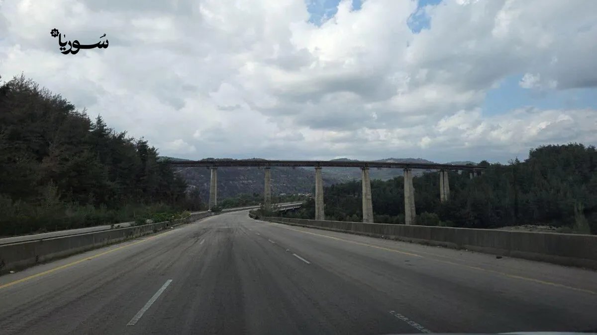 غابات الريف الشمالي في اللاذقية: خطر التعديات والقطع الجائر يتفاقم