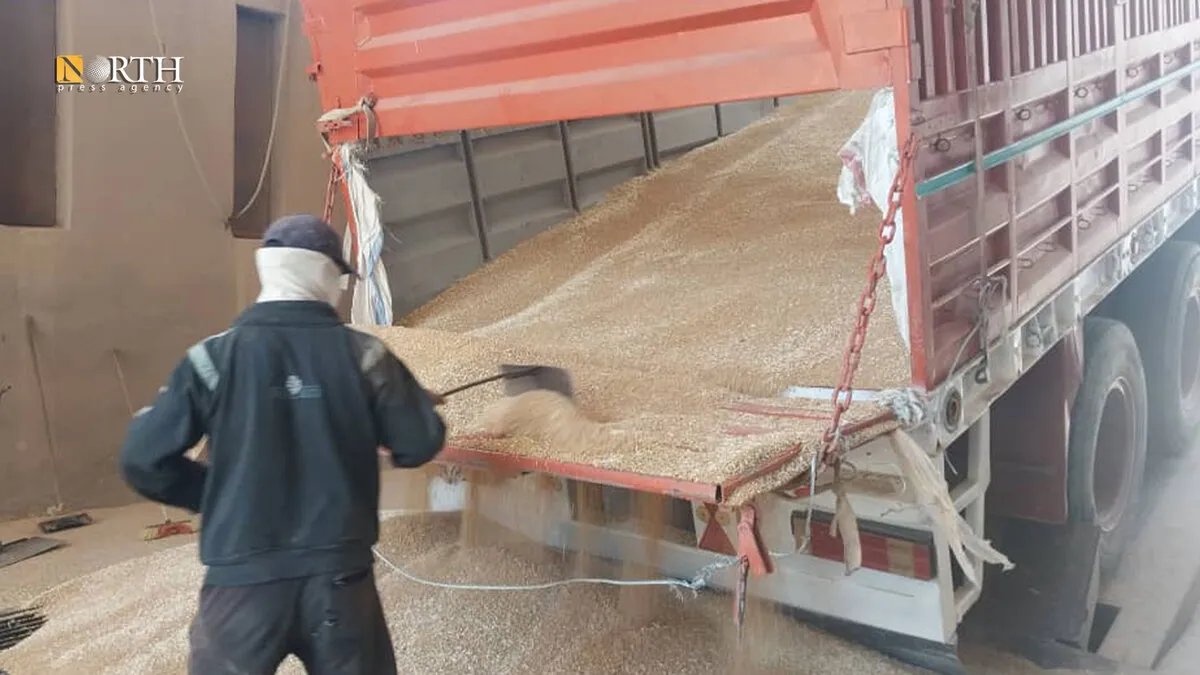 بدء استلام محصول القمح من المزارعين في صوامع أزرع بريف درعا الشرقي