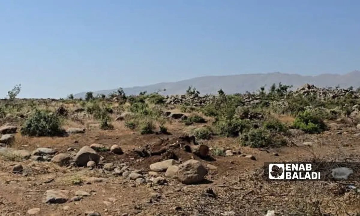 القنيطرة تواجه أزمة جفاف متفاقمة: مزارعون يتهمون إسرائيل بالسيطرة على مصادر المياه