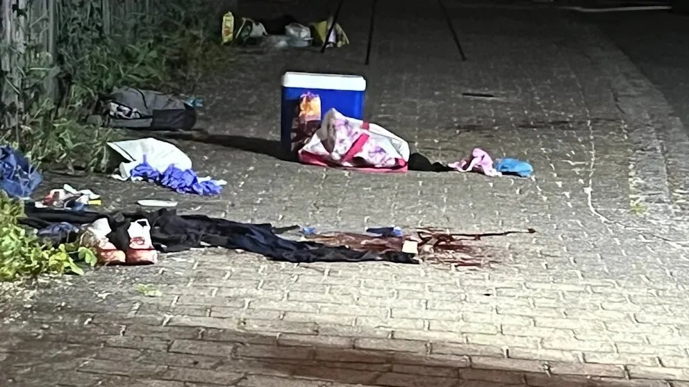 ألمانيا: جريمة مروعة تهز بافاريا.. مراهقة تقتل فتى طعناً قرب بحيرة