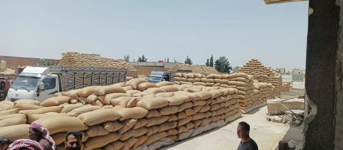 قرار حكومي بمنع استيراد القمح عبر المنافذ لحماية المزارع المحلي