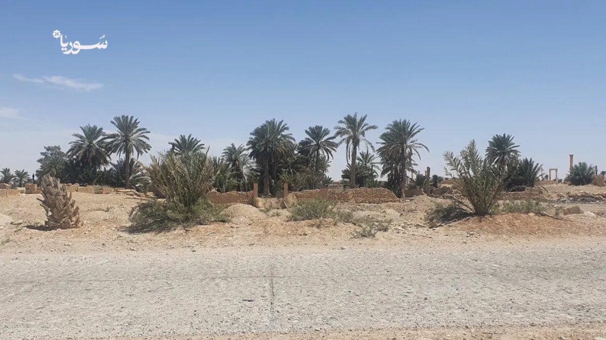 تدمر بعد ستة أشهر من التحرير: غياب الدعم يعيق إعادة الإعمار