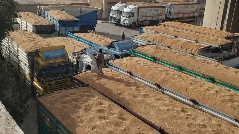 حصاد وفير رغم الصعوبات: أكثر من 212 ألف طن من القمح السوري في موسم 2025
