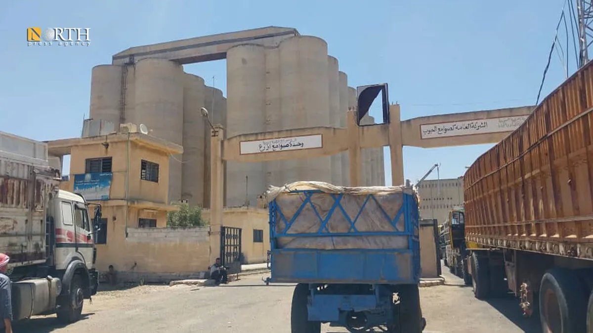 المؤسسة العامة للحبوب السورية تعلن عن استلام 213 طناً من القمح وسط تحديات الجفاف