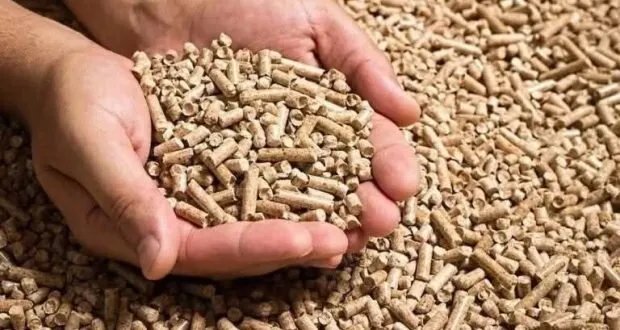 سوريا تفقد ثروة حيوانية فريدة: الجفاف يهدد ما تبقى وتراجع المراعي ينذر بالخطر