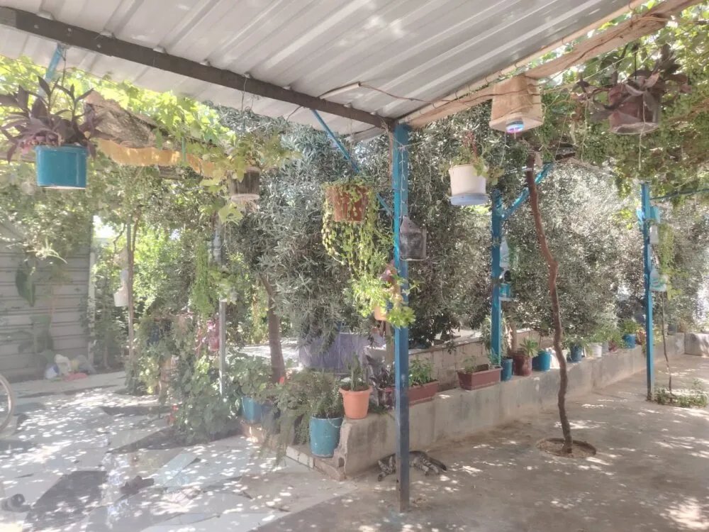 من قلب اليأس إلى واحة الأمل: لاجئ سوري يحول خيمته في الزعتري إلى جنة خضراء