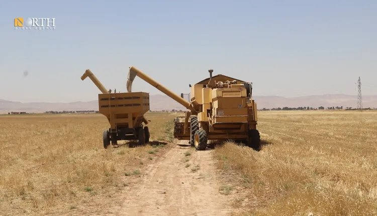 الإدارة الذاتية تعلن: استلام 254 ألف طن من القمح وتؤكد على الأمن الغذائي في شمال وشرق سوريا