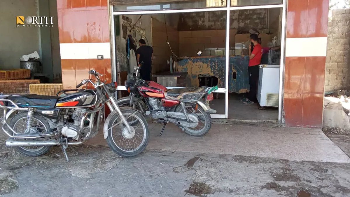 اللاذقية: انخفاض حاد في أسعار الفروج الحي يثير قلق المربين