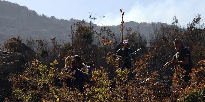 إخماد حريق مصياف: جهود مكثفة تنجح في السيطرة على النيران