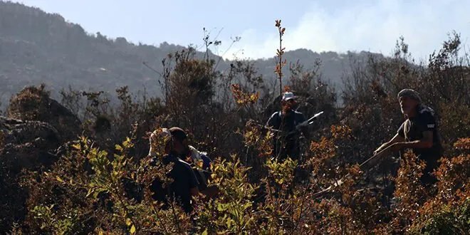 إخماد حريق مصياف: جهود مضنية تكلل بالنجاح في ريف حماة